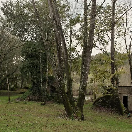 カントリーハウス 5ª D'azenha - Refugio A Beira Do Rio Tamega